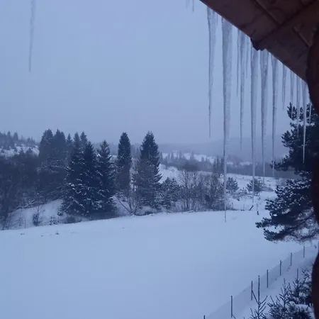Сімейний Затишок * Bukovinka