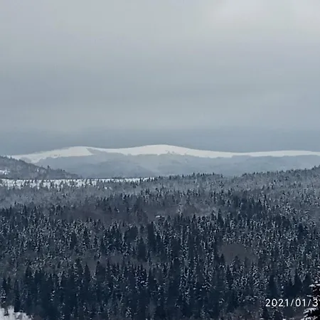 Сімейний Затишок