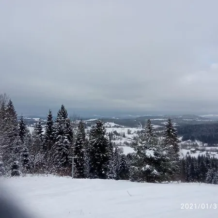 Сімейний Затишок Bukovinka